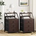 Set of 2 Modern End Table for Bedroom Living Room Rustic Brown