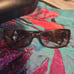 Coach Chelsea frames