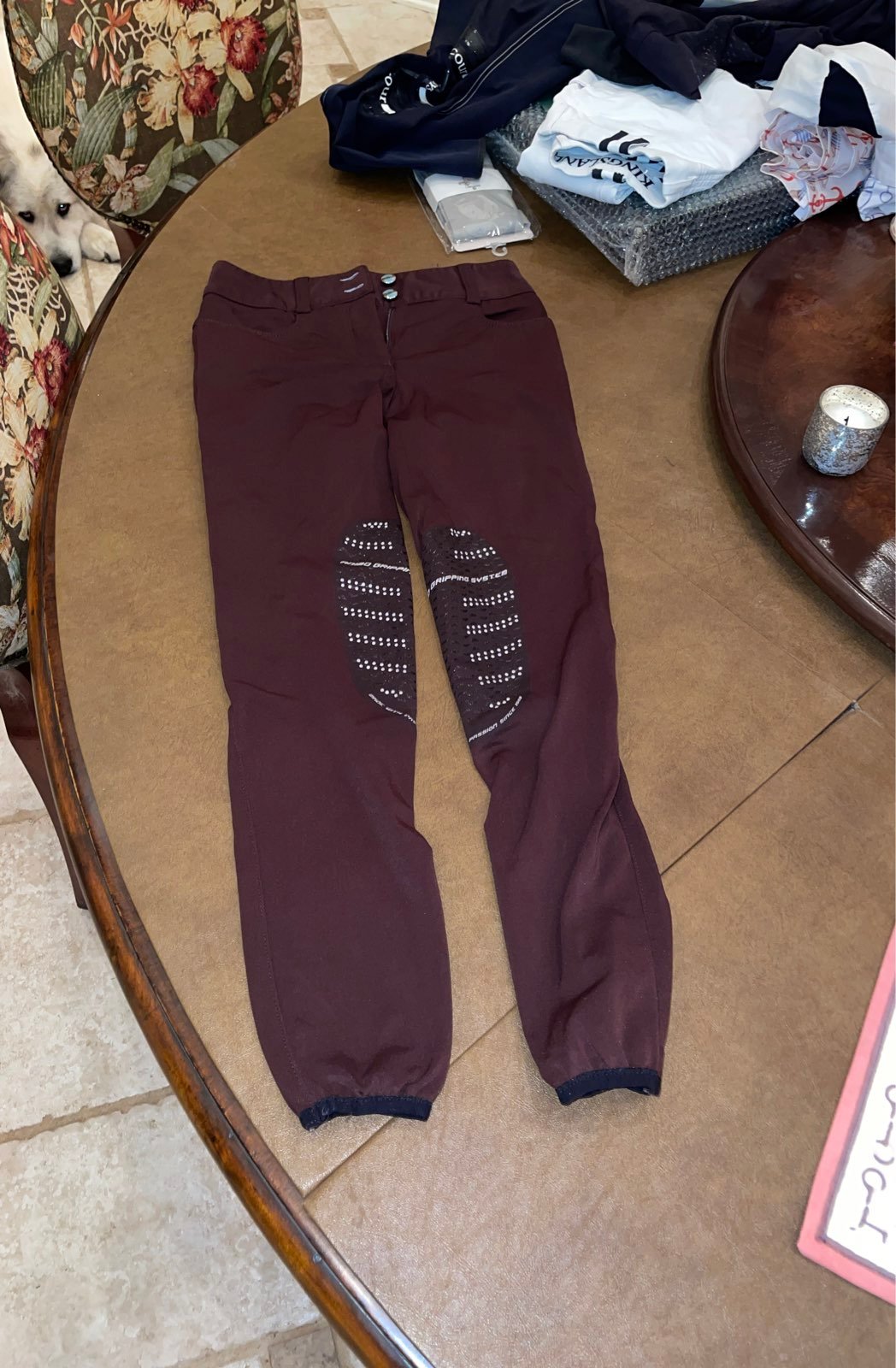 Animo breeches i38