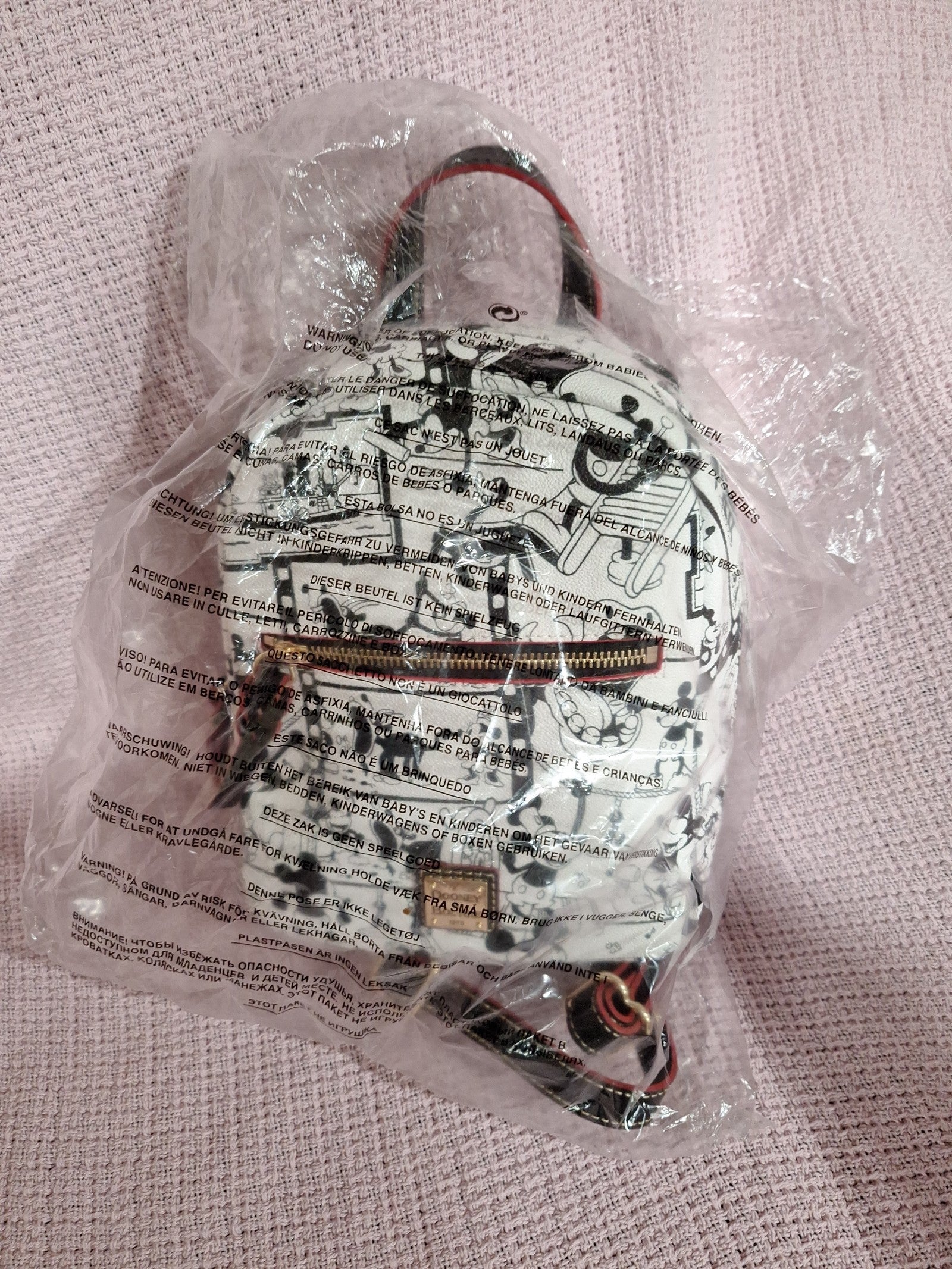 Dooney and bourle backpack