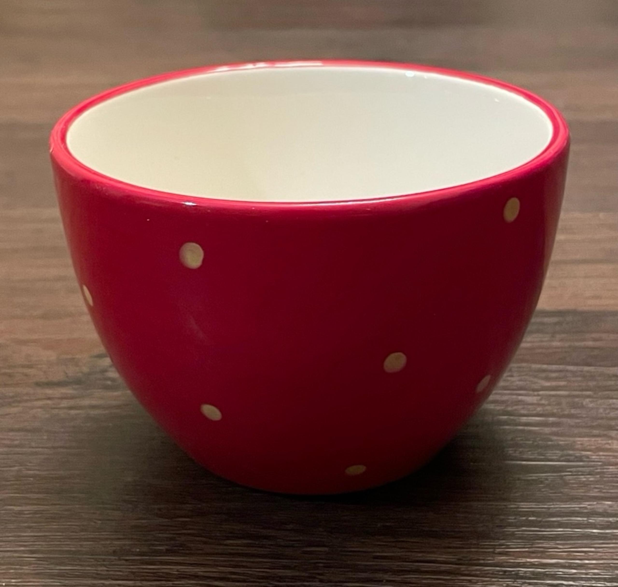 Pier 1 Imports Serving Bowl Dish Ceramic Hand-Painted Red Orange Polka Dots