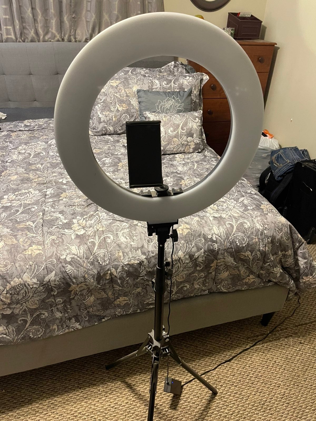 LED Ring Light with Stand