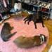 Baby Pink Round Area Rug 4x4, Soft Bedroom Circle Rugs Mats