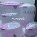 Tupperware Fifo Cereal Keeper Modular Set