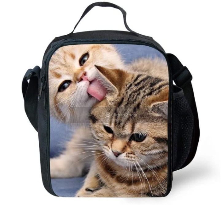 Insulated Lunch Box Cooler Bag