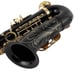 Eb Alto Saxophone, Beginner Saxophone, Alto Sax, Saxophone for Professional