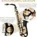 Eb Alto Saxophone, Beginner Saxophone, Alto Sax, Saxophone for Professional
