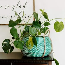 Modern Village Designer Plant Basket and Throw Blanket Basket (Teal)