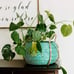Modern Village Designer Plant Basket and Throw Blanket Basket (Teal)
