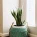 Modern Village Designer Plant Basket and Throw Blanket Basket (Teal)