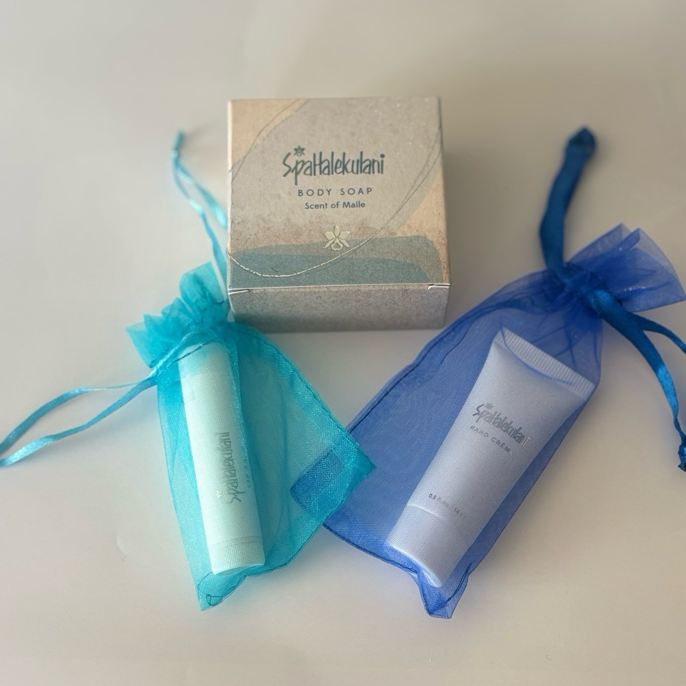 Halekulani Hotel Amenities