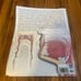 Dental assisting coloring book