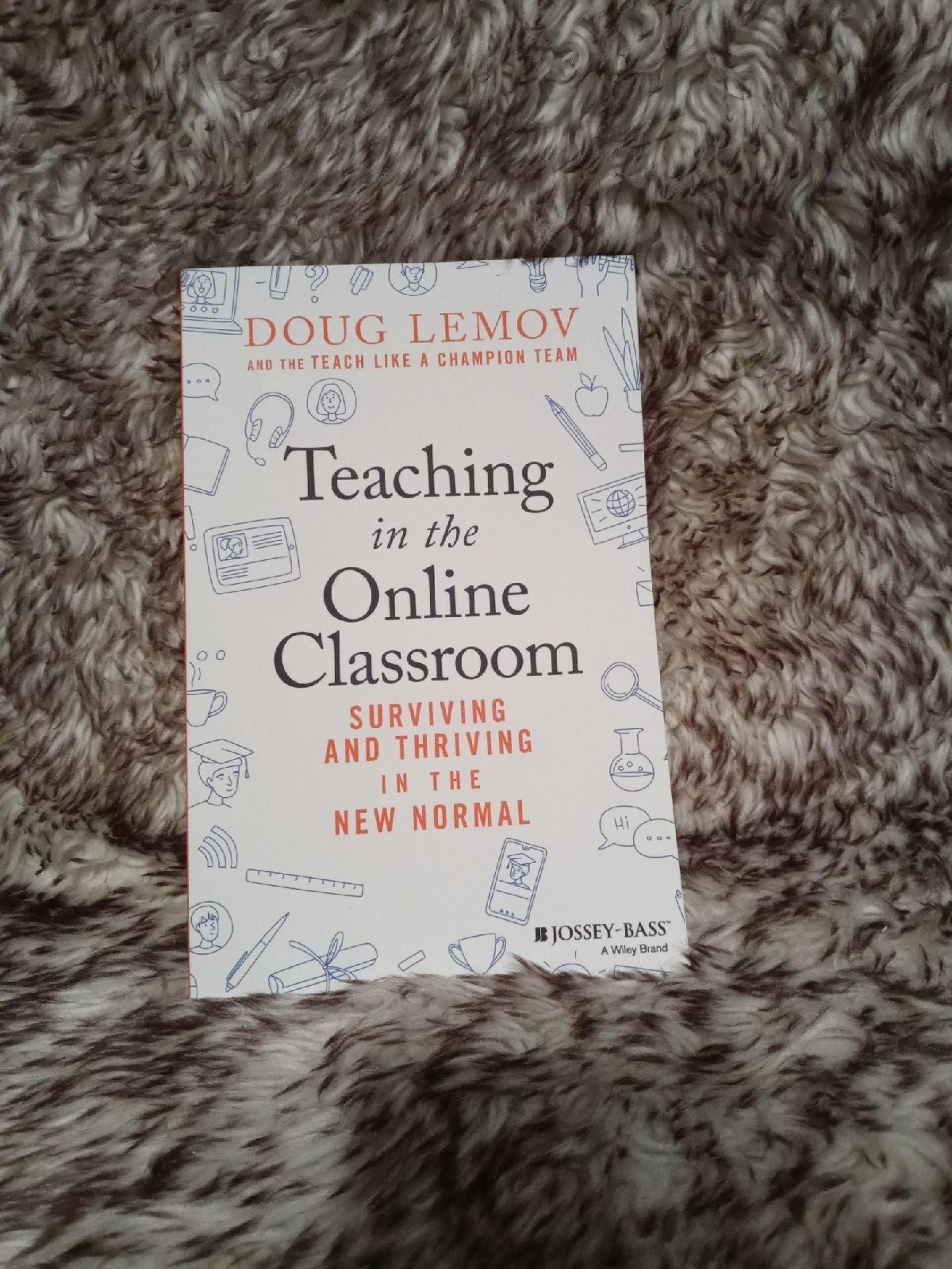 Teaching in the Online Classroom