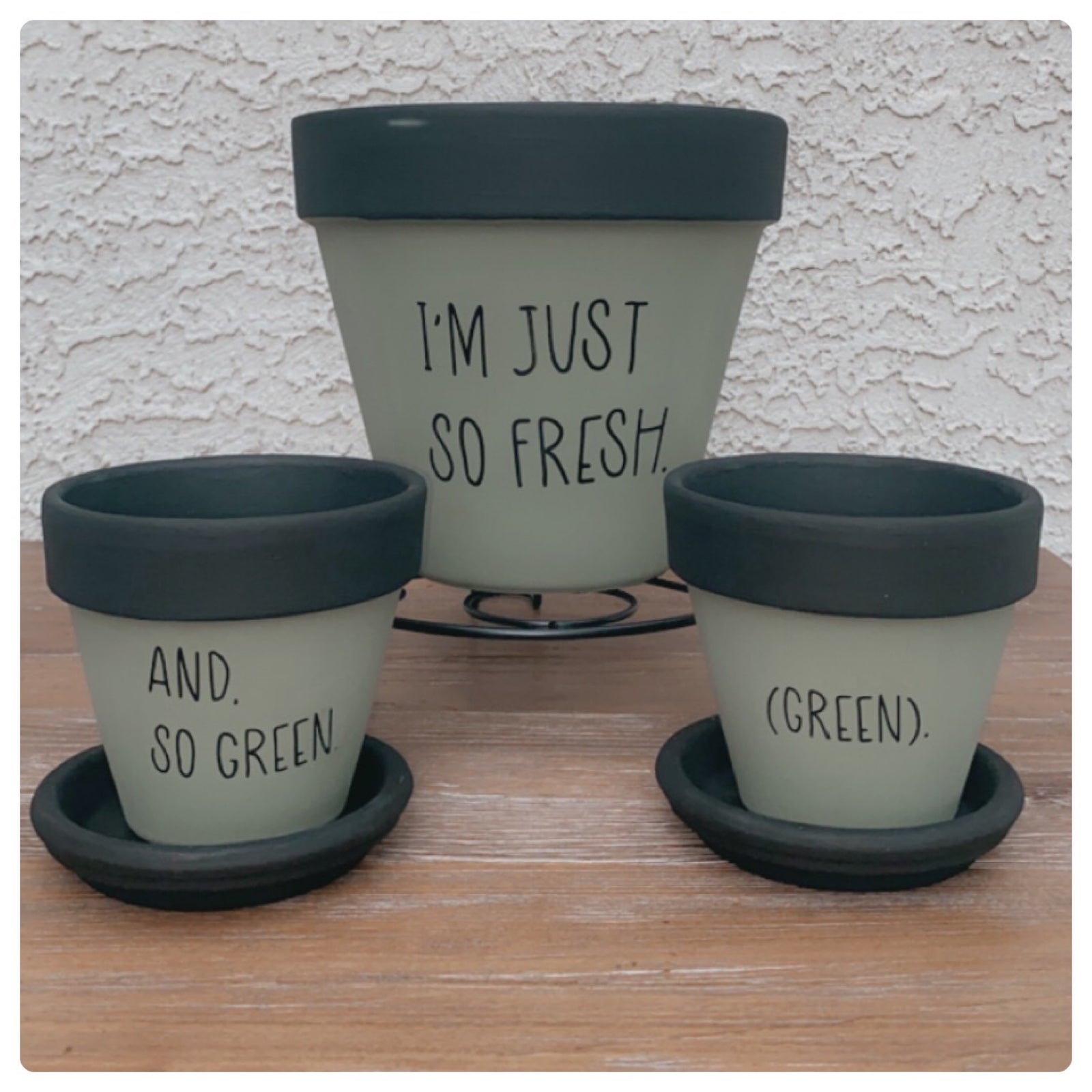 So fresh and so clean (green) punny plant pots. Cute Emo Planter gift. Set of 3.