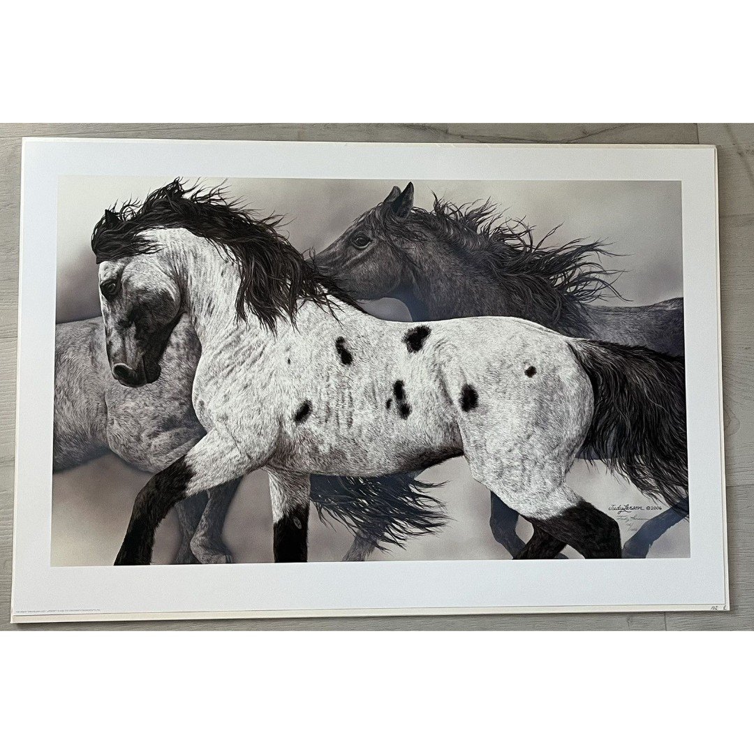 Judy Larson Ghost Wind Limited Edition Wild Native Horses 102/1000 Signed