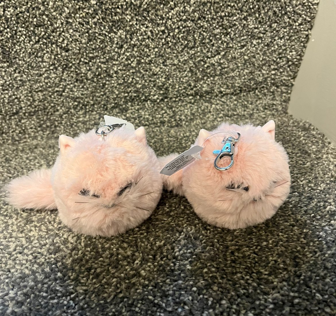 Two kitty pocketbac holders