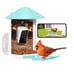 Birdfy Smart Bird Feeder with Camera for Bird Feeding and Watching - 1.5 lb Blue