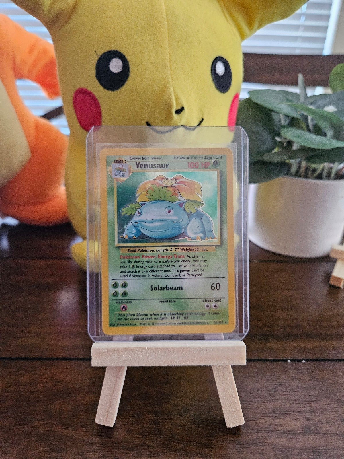 1995 Unlimited Venusaur