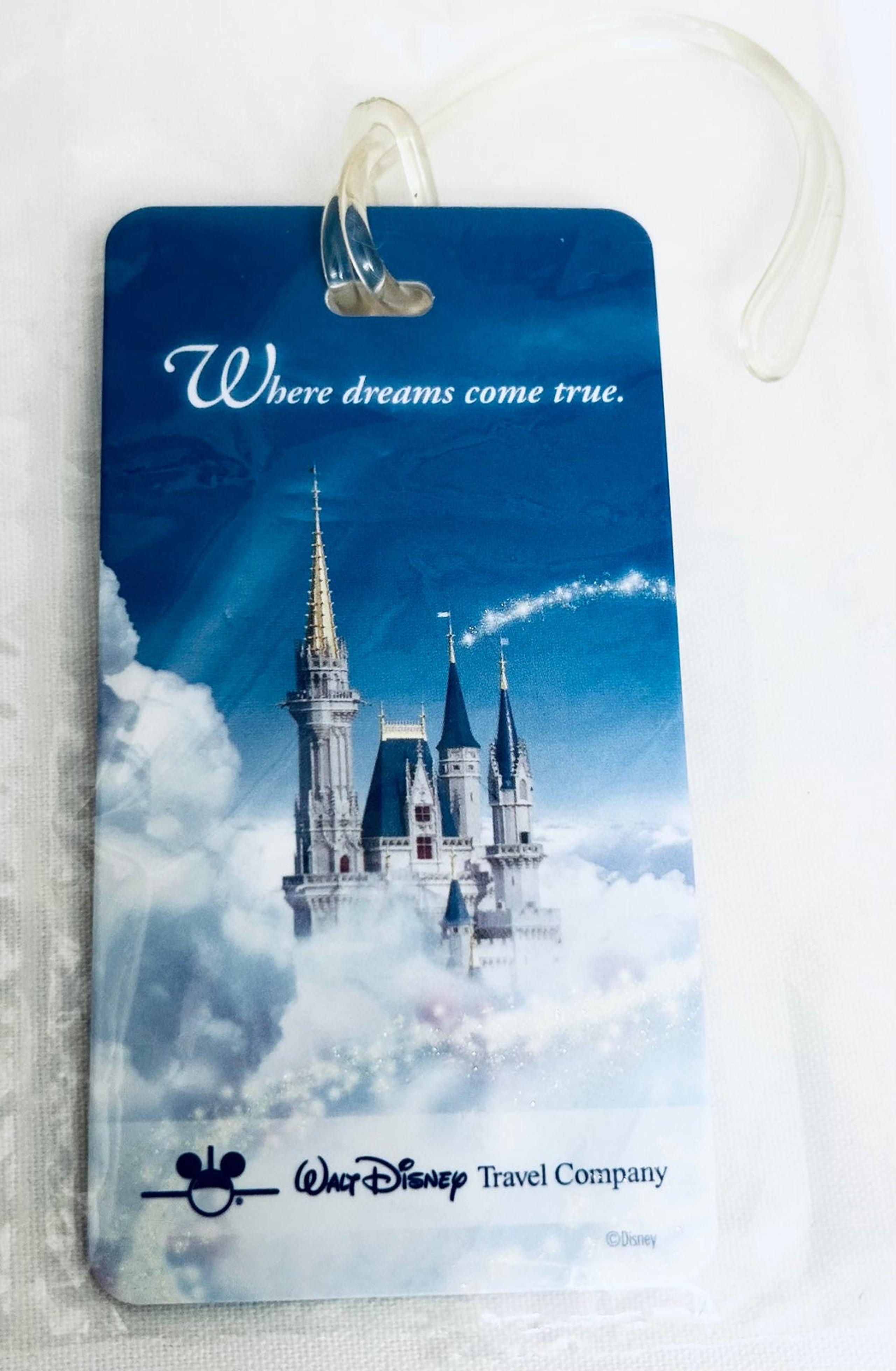 Disney World Luggage or Bag or Backpack Tag Where Dreams Come True Cinderella