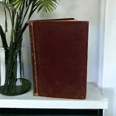 1871 The City of the Lakes. One Woman's Protest. By Lewise. Lakeside Printing
