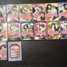 Junjuo Romantica: Pure Romance Japanese Manga Set #1-23 + Bonus #23 Preview Book