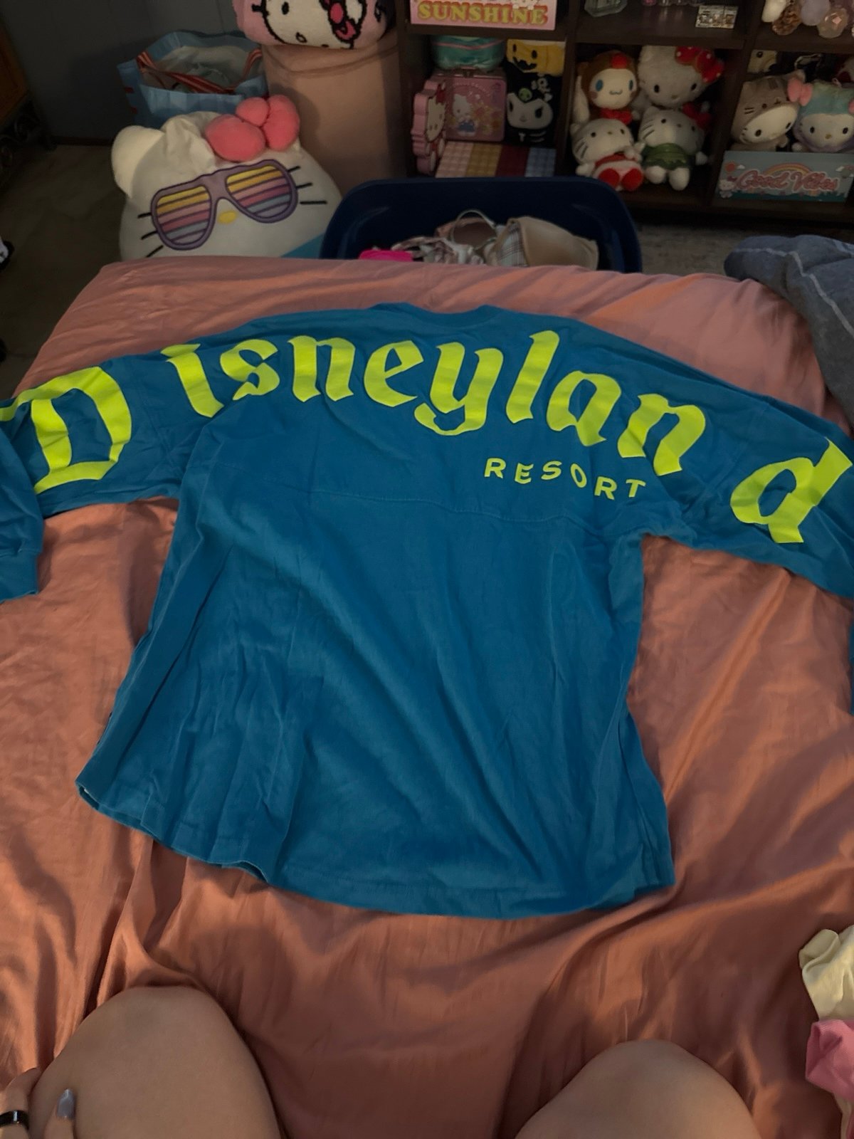 Disneyland Spirit Jersey
