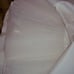 GIRL'S DAVID BRIDAL SIZE 3 IVORY FLOWER GIRL DRESS