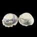 Vtg Studio Art Pottery Set 2 Decorative Splatter Fish Bowl Beach Decor Signed