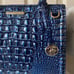 Brahmin