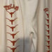 Vintage Russell Athletic Texas Sweat Pants Size XL White
