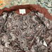 Anthropology jacket