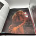 The Vampire Cinema by David Pirie, 1977 HCDJ 1st edition
