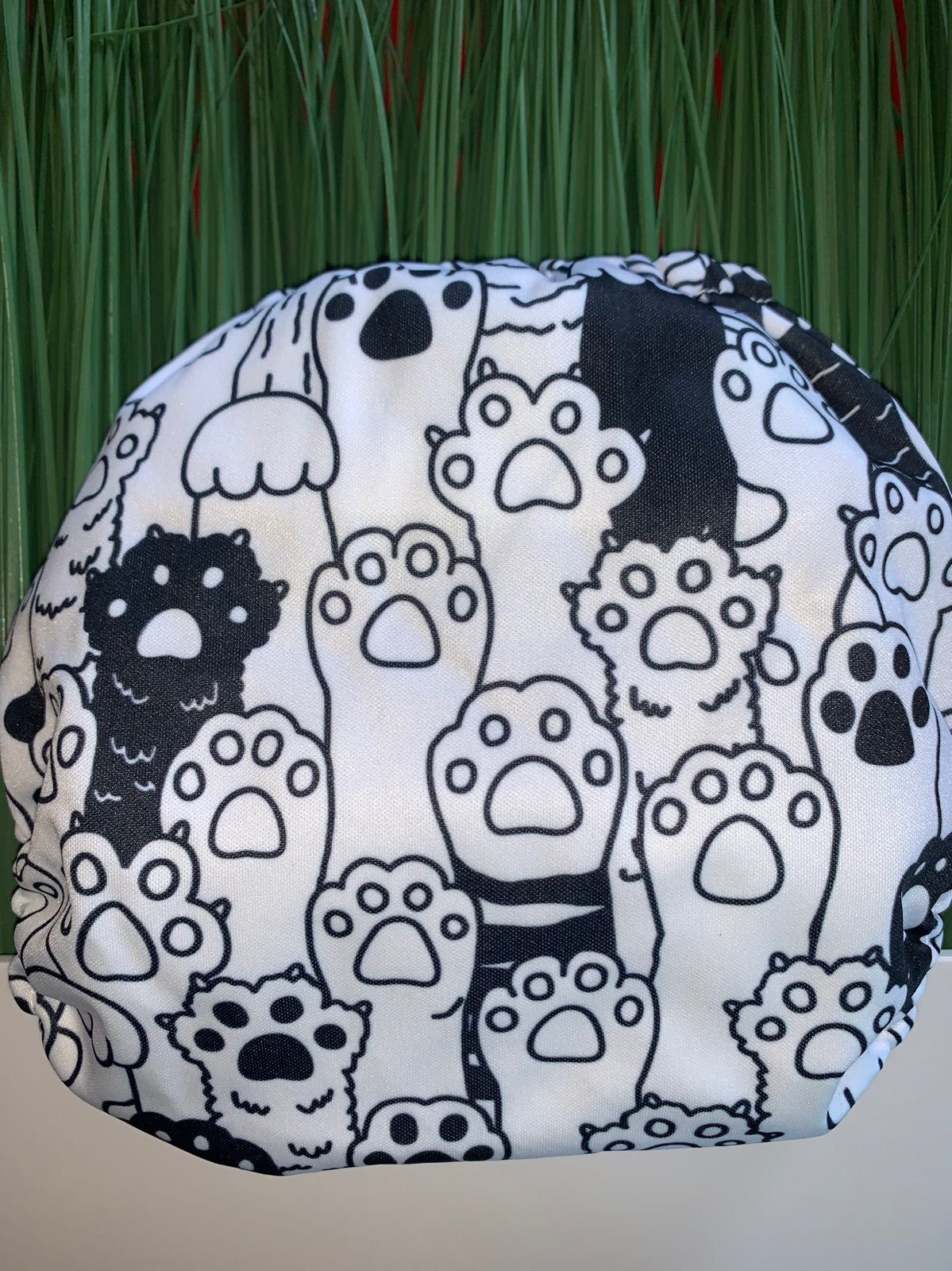 Mama koala cat paws