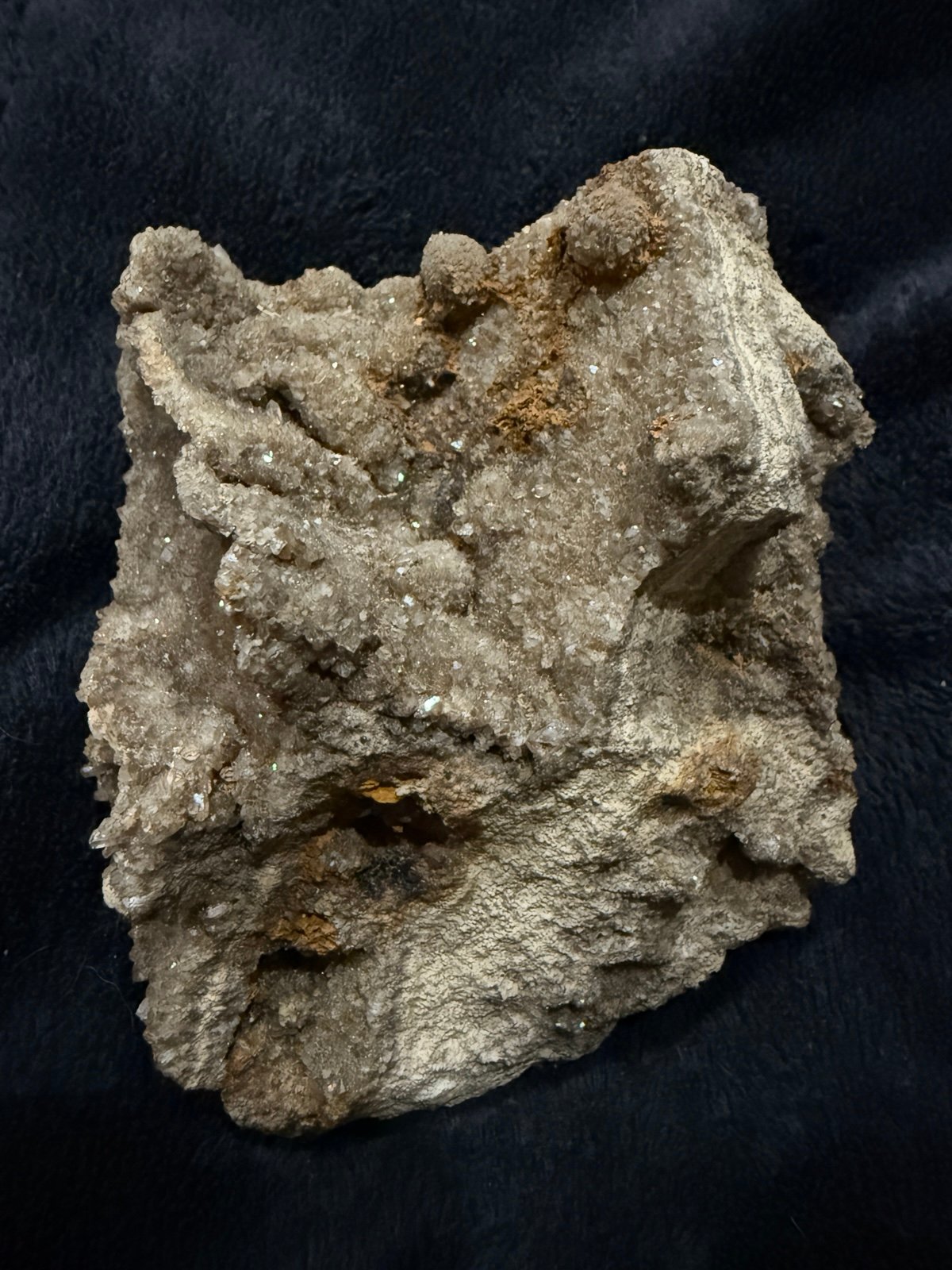 Super Druzy Brilliant Petrified Wood Botryoidal Smoky Quartz Alabama