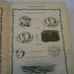 Antique 1908 Bible Symbols Book Leather