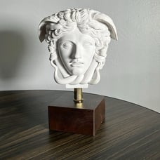 Medusa Head Resin from the Getty Villa Museum