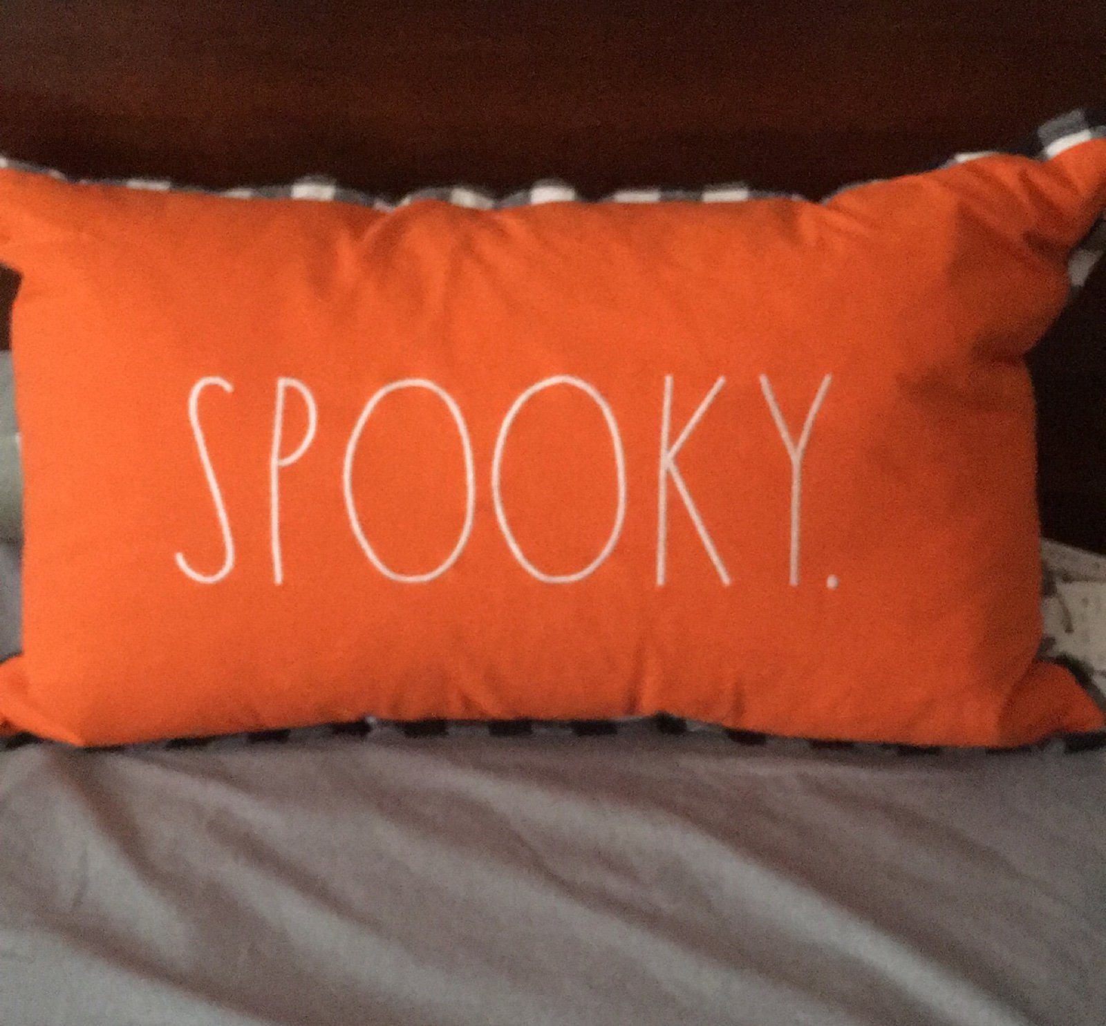 Rae Dunn SPOOKY pillow