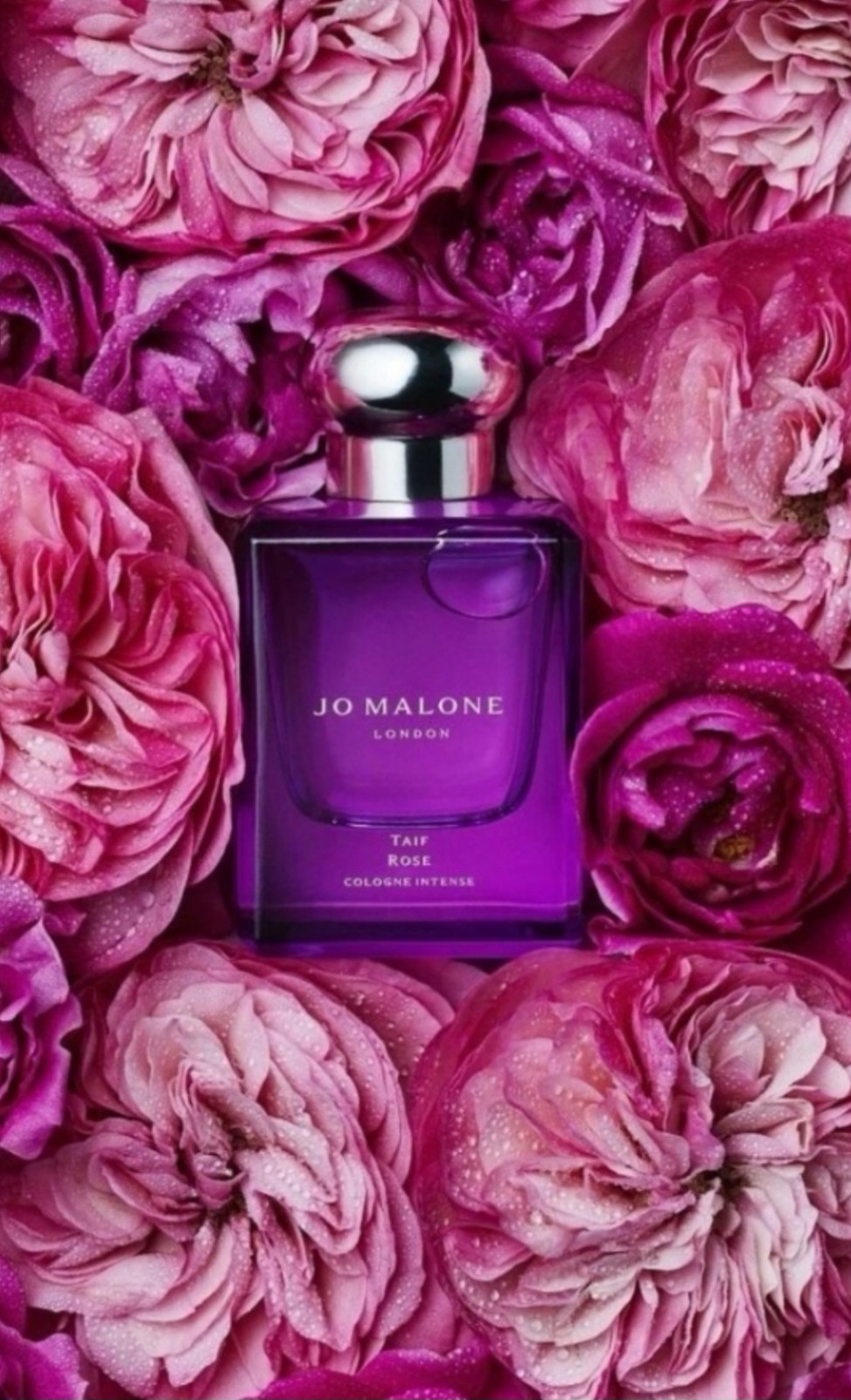 JO MALONE LONDON  TAIF ROSE COLONE INTENCE-LIMITED EDITION 1.7oz/ 50 ml .NIB