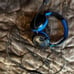 Playstation 4 Pro Bundle with VR