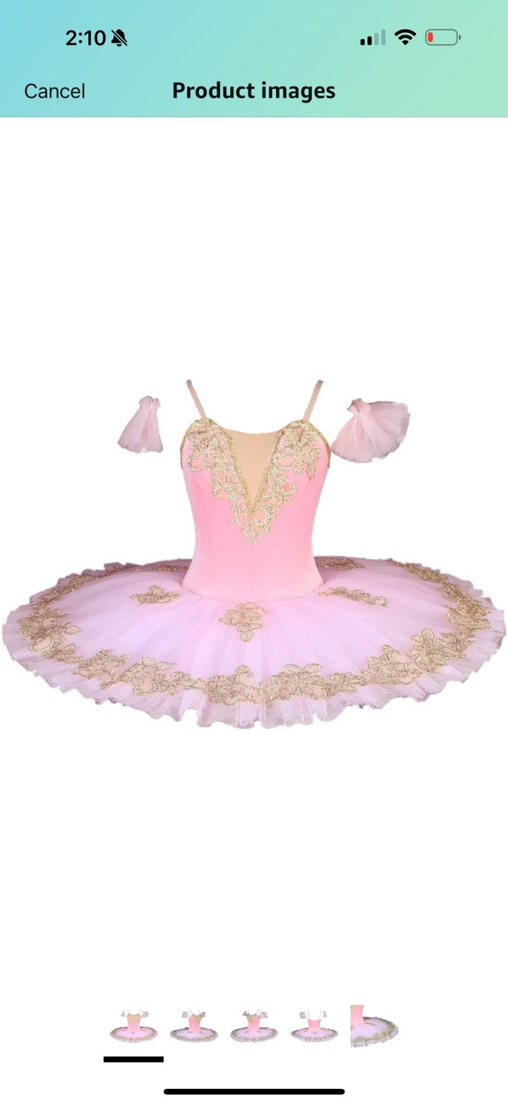 NWT Swan Lake Performance Costume Ballet Dress
