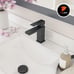 Matte Black Bathroom Faucet (OPEN BOX - NEVER USED)