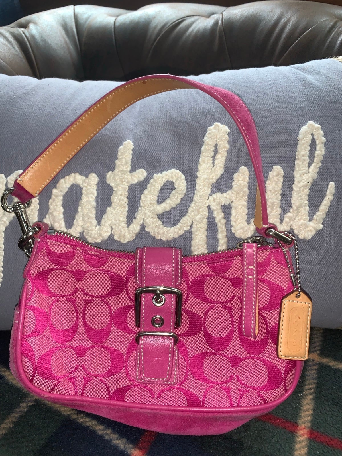 Coach Mini Bag