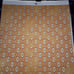 Lot scrapbook paper with case photos