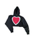 Champion heart cropped hoodie Size XXL