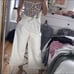 Faux leather pants