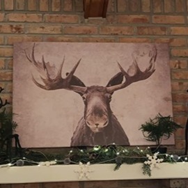 Moose Pictures Elmer The Moose Modern Wildlife Elk Deer 36 x 24 Inch