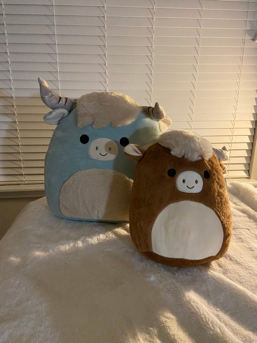 Armie and Calton the Highland Cows Squishmallow