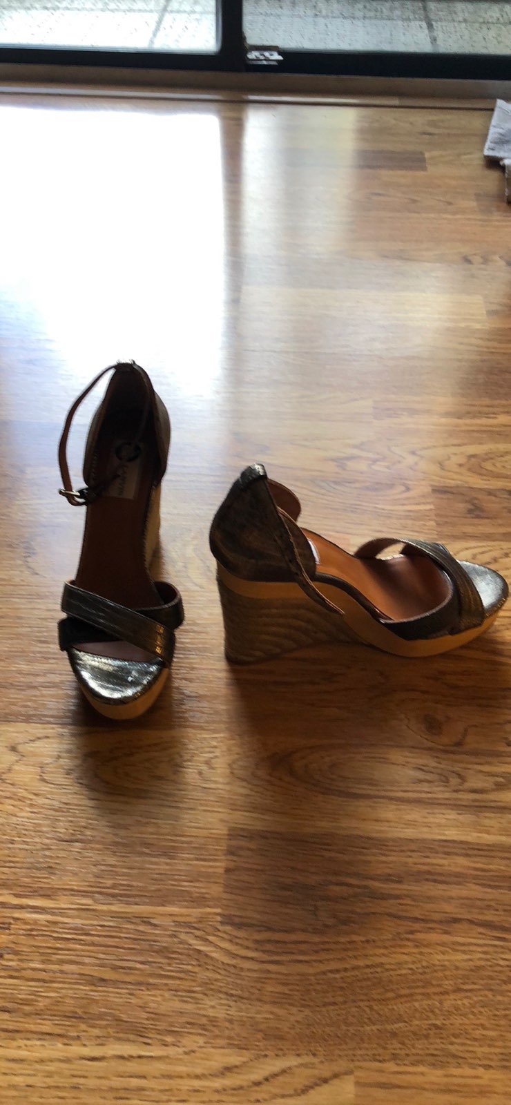 Lanvin Wedges