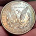 1921d, GEM, BU, PL, RAINBOW IRRIDESCENT TONED, BEST MINT MARK LOWER MINTAGE, PL
