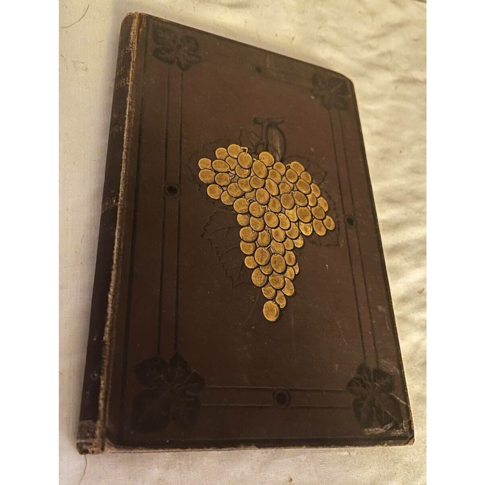 Vines and Vine Culture 1887 by Barron